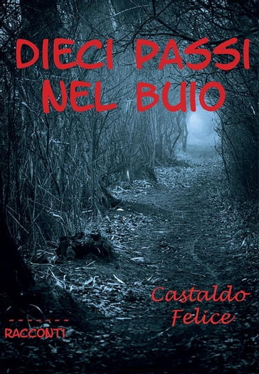 Dieci passi nel buio - Felice Castaldo
