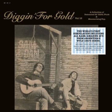 Diggin' for gold vol.13 - AA.VV. Artisti Vari