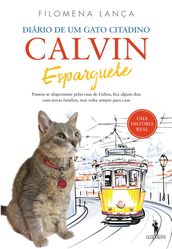 Diário de Um Gato Citadino: Calvin Esparguete