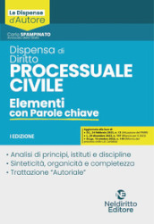 Dispensa di diritto processuale civile. Elementi con parole chiave