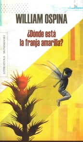 Dónde está la franja amarilla?