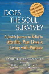 Does the Soul Survive?: A Jewish Journey to Belief in Afterlife, Past Lives & Living with Purpose