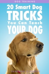 Dog Training: 20 Smart Dog Tricks You Can Teach Your Dog