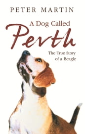 A Dog called Perth