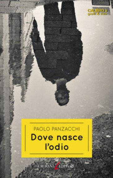 Dove nasce l'odio - Paolo Panzacchi