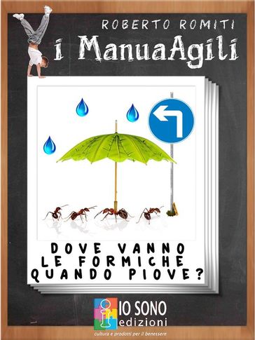 Dove vanno le formiche quando piove - Roberto Romiti