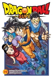 Dragon Ball Super, Vol. 19