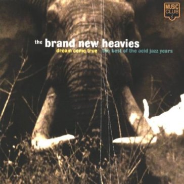 Dream come true/best of - The Brand New Heavies