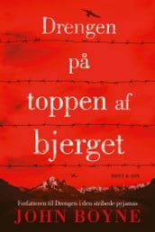 Drengen pa toppen af bjerget