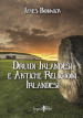Druidi irlandesi e antiche religioni irlandesi