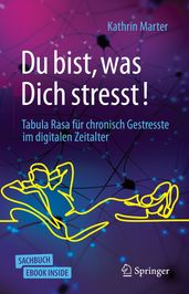 Du bist, was Dich stresst!