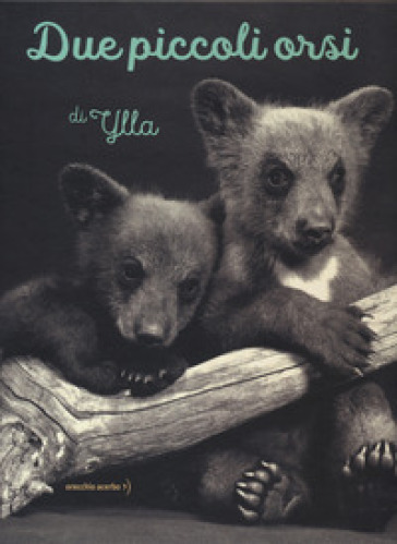 Due piccoli orsi - Ylla