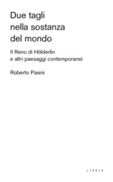 Due tagli nella sostanza del mondo. Il Reno di Holderlin e altri paesaggi contemporanei - Roberto Pasini