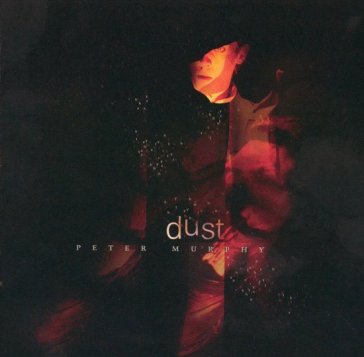 Dust - Peter Murphy