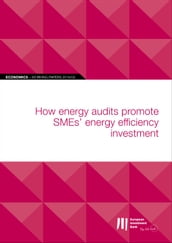 EIB Working Papers 2019/02 - How energy audits promote SMEs  energy efficiency investment