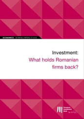 EIB Working Papers 2019/08 - Investment: What holds Romanian firms back?