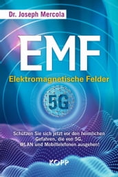 EMF - Elektromagnetische Felder