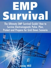 EMP Survival: The Ultimate EMP Survival Guide! How to Survive Electromagnetic Pulse. Plan, Protect and Prepare for Grid Down Scenario