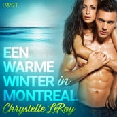 Een warme winter in Montreal - erotisch verhaal