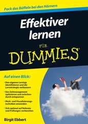 Effektiver lernen für Dummies