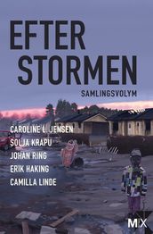 Efter stormen (utökad)