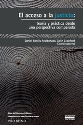 El acceso a la justicia: teoría y práctica desde una perspectiva comparada