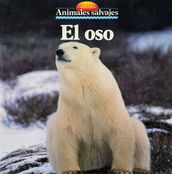 El oso