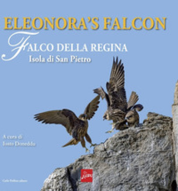 Eleonora's falcon. Falco della regina. Isola di San Pietro. Ediz. illustrata