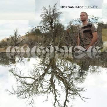 Elevate - Page Morgan