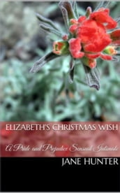 Elizabeth s Christmas Wish: A Pride and Prejudice Sensual Intimate