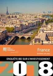 Enquête BEI sur l investissement en 2018 - France