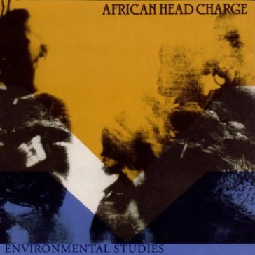 Environmental studies - African Head Charge