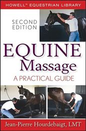 Equine Massage