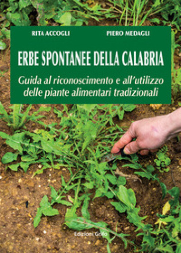 Erbe spontanee della Calabria. Guida al riconoscimento e all'utilizzo delle piante alimentari tradizionali - Rita Accogli - Piero Medagli