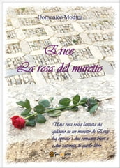 Erice - La rosa del muretto