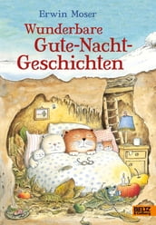 Erwin Moser. Wunderbare Gute-Nacht-Geschichten