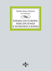 España en Europa. Percepciones e introspecciones