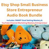 Etsy Shop Small Business Store Entrepreneur Audio Book Bundle