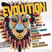 Evolution the story of afro funky disco (box 4CD)