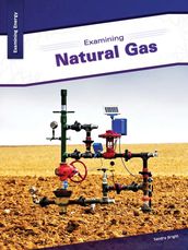 Examining Natural Gas