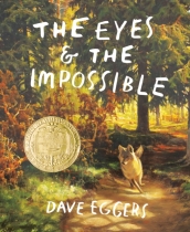 Eyes and the Impossible