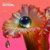 Fabric presents shygirl