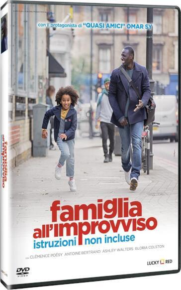 Famiglia All'Improvviso - Istruzioni Non Incluse - Hugo Gelin