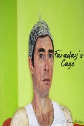 Faraday s Cage