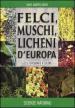 Felci, muschi e licheni d Europa