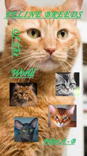 Feline Breeds Of The World A - B