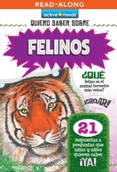 Felinos (Wild Cats)