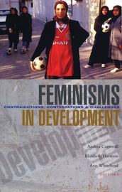 Feminisms in Development