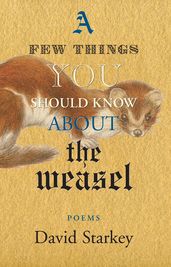 A Few Things You Should Know About the Weasel