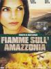 Fiamme Sull Amazzonia